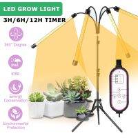 2A Full Spectrum LED Grow Lights USB phyto lamp Desktop Plant Growth Lamp For indoor Flower VEG seedling succulent fitolampy DC 5V