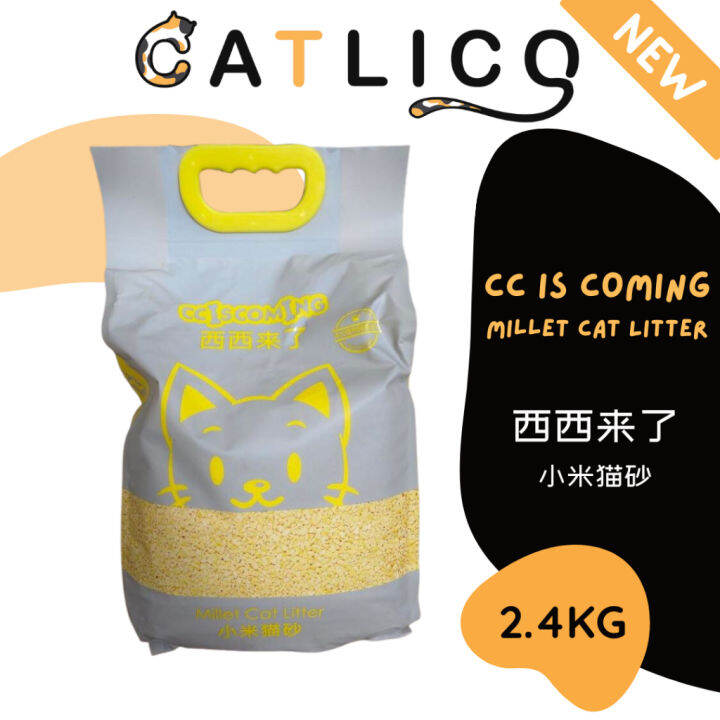 [CATLICO] Xixi Akan Datang ！ Xiaohongshu Jenis Popular Pasir Kucing