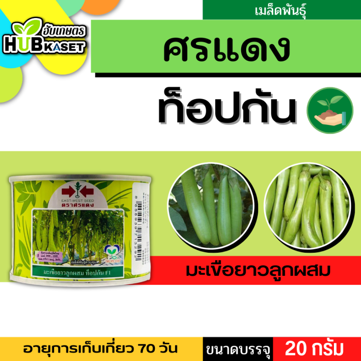 ศรแดง 🇹🇭 มะเขือยาวลูกผสม ท็อปกัน F1 ขนาดบรรจุ 20 กรัม อายุเก็บเกี่ยว 70 วัน