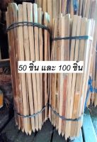 Without shop ไม่ไผ่เหลาเซี้ยน ปลายตัดเหลี่ยม ใช้ค้ำยันต้นไม้ ใช้ทำรั้วทำกำแพง สูง 30 ซม.หรืองาน DIY ต่างๆ ตามใจคุณ จำนวน 50/100 ชิ้น