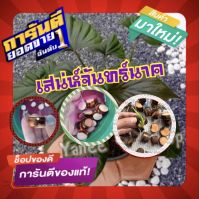 ?สินค้ามาแรงตามกระแส?เสน่ห์จันทร์นาค (9หน่อ/แพ็ค) #ส่งแบบหน่อตัดใบ# ไม้มงคลเสริมโชคลาภ ไม้มาแรง ไม้กระแส #โปรพิเศษจำนวนจำกัด!!