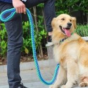 Vòng Cổ cho chó Mạnh Mẽ Lực Kéo Dây Dây Xích Lực Kéo Dây Cổ Bộ Nylon Lớn