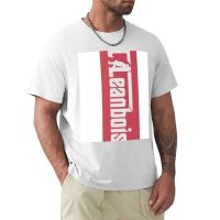 Leanbois: เสื้อยืด GTA Rp เสื้อยืดลายกราฟิก