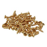 250X Guitar Bass Screws Parts for Scratchplates Pickguard, Gold