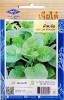 ผักปลัง Ceylon spinach เมล็ดพันธุ์เจียไต๋ โฮมการ์เด้น