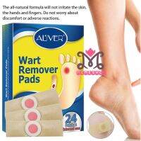 Kเทพเจ้า ALIVER Wart Remover Pads / Corn Remover 鸡眼贴 24 PATCHES PER BOX