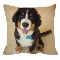 hjk❄▪☃  XUNYU 45cmx45m Berne Mountain Dog New Cotton Cushion Cover Sofa Decoration YH042