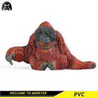 เด็ก Early Education จำลองสัตว์ป่ารุ่น Orangutan Orangutan ลิงพลาสติก Static ของเล่นตุ๊กตาเครื่องประดับ PVC Miniature Collection ของเล่นเพื่อการศึกษาเด็กของเล่นของเล่นสำหรับชายของเล่นสำหรับหญิง