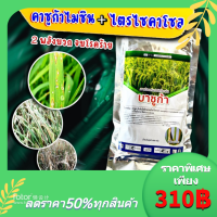 บาซูก้า 100 กรัม  โรคใบไหม้ในนาข้าว คาซูก้าไมซิน + ไตรไซคลาโซล #ใบติด#เน่ายุบ โรคพืช โรคแคตตัส ใบไหม้ ใบจุด โรคเน่า