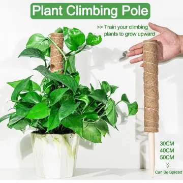 4-Pieces: Coco Coir Extendable Moss Pole for Climbing Plants | 32cm