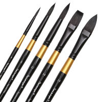 Dainayw Watercolor Paint Brushes Set Squirrel Hair Professional Artist Painting Mop for Gouache Watercolors Inks, 5Pcs