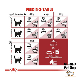 อาหารแมว-royal-canin-regular-fit-32-แบ่งขาย-แมวโตอายุ-1-ปีขึ้นไป