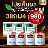 ส่งฟรี ! 3 แถม 4 ( 7 กระปุก) วีทกราส คลอโรฟิลล์ จาก แบรนยูมิโกะ Wheatgrass chlorophyll by yumiko