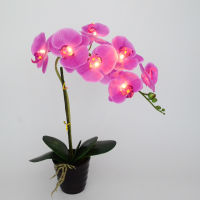 20" 50cm 7 LEDs Orchid Pot Lamp artificial flower real touch Phalaenopsis latex silicon Bonsai Lighting glowing potted flowers