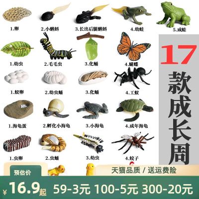 【STCOK】 Childrens Cognitive Animal Growth Cycle Toy Model Frog Rooster Ant Mosquito Butterfly Turtle Metamorphosis