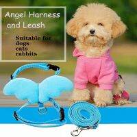 Cute Angel Pet Cat Harness and Leash Set for Small Dogs Cat Kitten Rabbits Leads Leashes Adjuestable Collars Pet Accessories