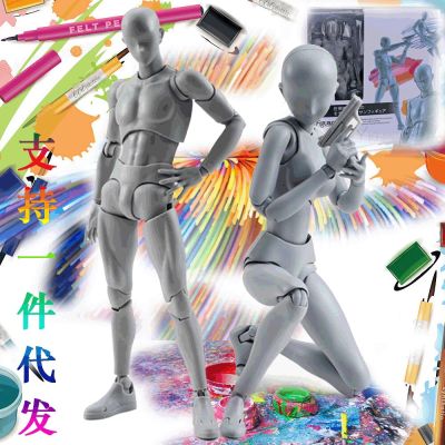 หุ่นฟิกเกอร์ที่สามารถเคลื่อนย้ายได้ทำจากภาพอนิเมะ Bandai โมเดลตุ๊กตาขยับแขนขาได้ร่างกาย Chan รูปร่างสามารถวาดรูปหุ่นจำลองได้