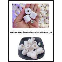 Ceramic Ring สีขาว ผิวเรียบ แบ่งขาย ขีดละ 10 บาท (เซรามิคริง ใช้เป็นที่อยู่ของจุลินทรีย์ )