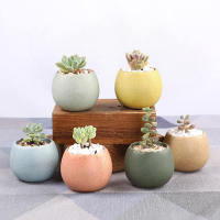 （HOT) ชามเนื้อเรียบง่ายมาการองรูปไข่กระถางดอกไม้เซรามิก Succulents ส่วนบุคคล Cactus ดอกไม้ขนาดเล็ก