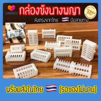 ??ส่งไว‼️กล่องขังนางพญาผึ้ง กล่องกักนางพญา กล่องเลี้ยงผึ้ง ป้องกันหนีรัง [มีปลายทาง] จับผึ้ง ขังนางพญา อุปกรณ์เลี้ยงผึ้ง