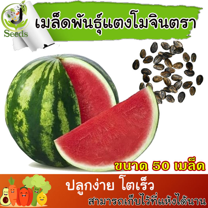 เมล็ดพันธุ์-แตงโมจินตหรา-50-เมล็ด-เนื้อแน่น-แดงจัด-หวาน-เปลือกบาง-ขายดี-เมล็ดแตงโม-แตงโมจินตรา