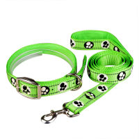 Free Shipping Dog Products Bone Paw Print Fluorescence Collar harnesses leads Leashes Goods