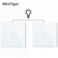 Minitiger EU 1 Gang 2 Way Wall Light Controller Smart Home Automation Touch Switch Switch Waterproof and Fireproof 2pcs/pack Electrical Circuitry  Par