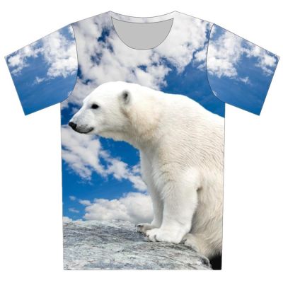 Joyonly Blue Sky Cloud T shirt Children 2019 Summer Funny Kids T-shirts Tees Short sleeve White Bear Baby Boy/Girl Tops 4-20Y