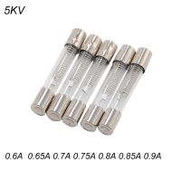 5PCS 5KV Microwave Oven Fuse 6*40mm 0.6A 0.65A 0.7A0.75A 0.8A 0.85A 0.9A Glass Tube Fuse 6x40mm High-Pressure Fuse Electrical Circuitry Parts