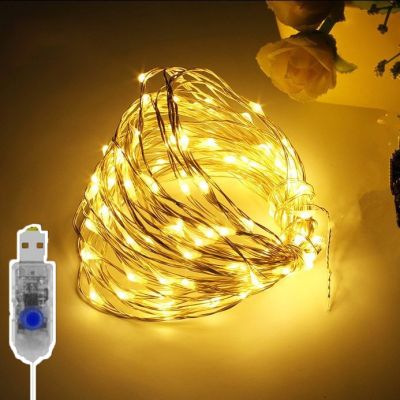 20M/200LED String Lights USB Alloy Wire Garland Valentine Fairy Lights Outdoor Waterproof for Christmas Wedding Party Decoration