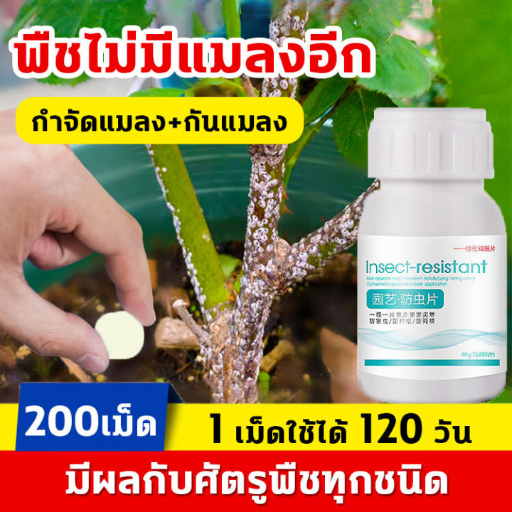 yyfcp-ยาฆ่าแมลงกินใบ-1เม็ดใช้ได้120วัน-ยาเพลี้ย-40g-200เม็ด-ฆ่าแมลงเท่านั้น-ไม่ทำร้ายพืช-ยากำจัดแมลงพืช-ป้องกันรากเน่า-ปรับปรุงดิน-ยาฆ่าแมลง-กำจัดแมลงได้กว้างขวาง-เพลี้ยไฟ-แมลงหวี่ขาว-ยาฆ่าเพลี้ย-สารก