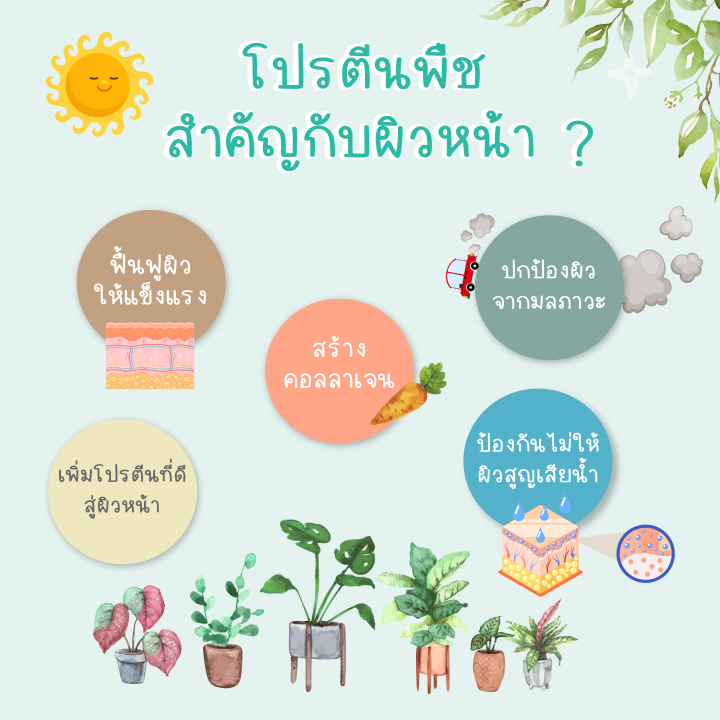 โปร-2-ขวด-เซรั่มไบแองเจิ้ลส์-biangles-เติมโปรตีนผิวเพื่อผิวแข็งแรง-ลดริ้วรอย-ฝ้ากระ-ฟื้นฟูผิวให้สว่างกระจ่างใส-ผิวฟูอิ่มน้ำ