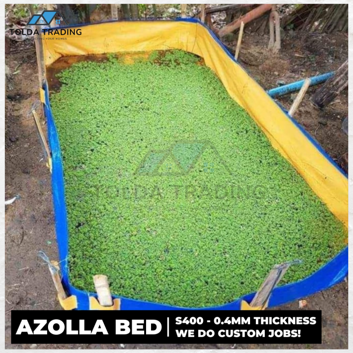 4x3x1ft W/ Drainage Heavy Duty Azolla Bed, Azolla Pond, Trapond, Trapal ...