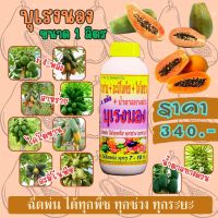 พร้อมส่ง? บุเรงนอง ขนาด 1 ลิตร อะมิโนพืช+สาหร่าย+ไคโตซาน+น้ำตาลทางด่วน อาหารพืช ใช้ฉีดพ่นทางใบ ฉีดพ่น มะละกอ