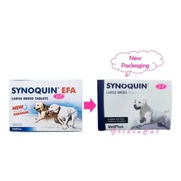 Synoquin Large Best Price in Singapore Jan 2024 Lazada