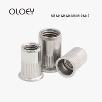 High Quality 8/10/20/40pcs Aluminum Rivet Nut Metric Thread Insert Riveting Nuts Flat Head Rivnut Nutsert M3 M4 M5 M6 M8 M10 M12