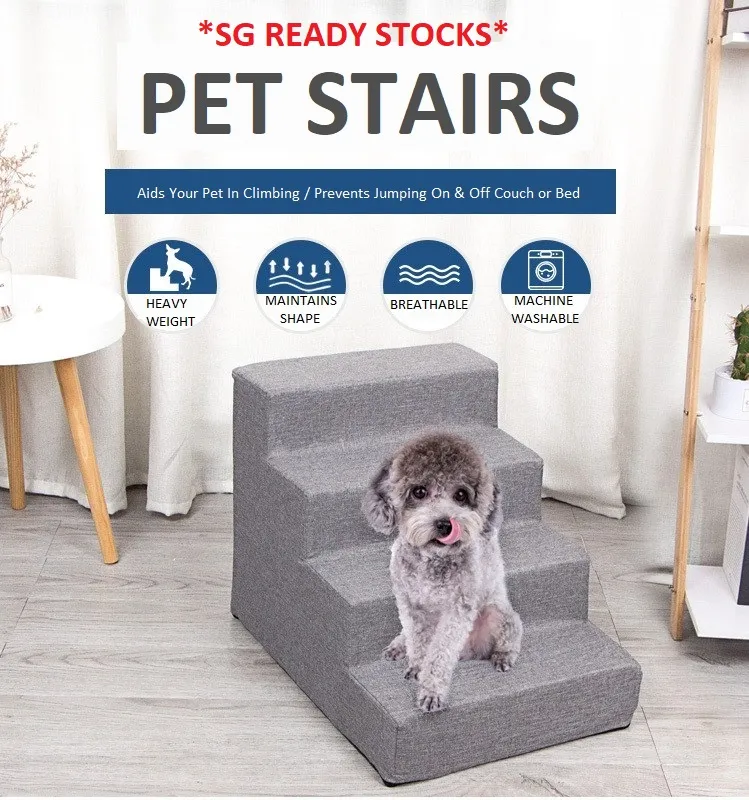 Are Stairs Good Exercise For Dogs
