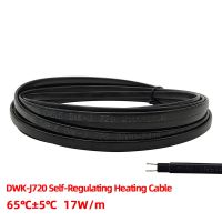 220V Anti-freeze Solar Water Pipe Heating Frost Protection Heating Cable Self Regulating Electric Heater Can Connect EU Plug