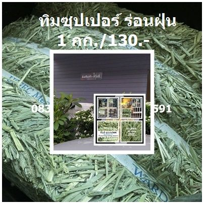 หญ้าทิโมธี-ซุปเปอร์wr-ฟ่อน