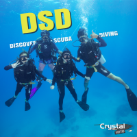 Discover Scuba Diving