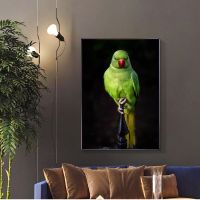 Green Parrot Animal Picture โปสเตอร์พิมพ์ผ้าใบ,คุณภาพ HD,เหมาะสำหรับห้องนั่งเล่น Wall Art, Classical Bird Home Decor โปสเตอร์0919