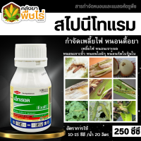 ? เอ็กซอล (สไปนีโทแรม) 250ซีซี กำจัดหนอน และเพลี้ยไฟได้เด็ดขาด ทั้งแบบถูกตัวและกินน็อคแบบฉับพลัน