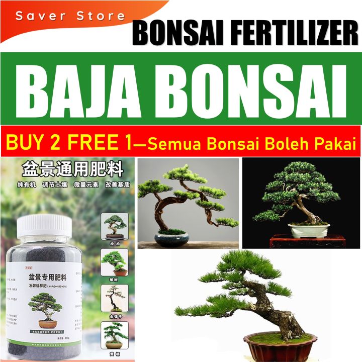 Bonsai Special Fertilizer 盆景专用肥料缓释肥黑松真柏榆树金弹子盆栽