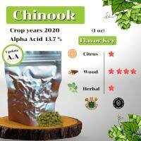 Chinook Hops (1oz) Crop years 2020 (บรรจุด้วยระบบสูญญากาศ)