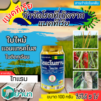 ? ไธอะโนซาน (ไทแรม80%WG) ขนาด 100กรัม ป้องกันเชื้อราแบคทีเรีย ไฟท๊อป