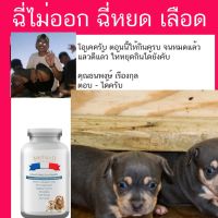 [ลด50%] อาหาร สุนัข กระเพาะปัสสาวะอักเสบ สุนัข ฉี่เป็น วุ้น อาหารสุนัข royal canin อาหารสุนัขแก่ Royal Canin เนื้องอก ในกระเพาะป