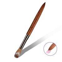 hot【DT】☞  Kolinsky Hair Sandalwood Handle for Application and