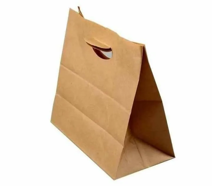 Kraft paper bag Punch hole 100pcs per back Lazada PH