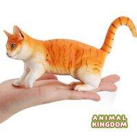 Animal Kingdom - โมเดล Cat แมว ทอง ขนาด 17.50 CM (จากสงขลา)