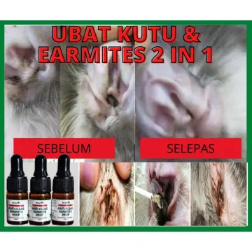 Shop Ubat Kucing 4 In 1 Online Jul 2022 Lazada Com My